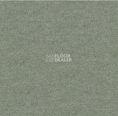 Ковровая плитка Interface Polichrome Solid 4266005 Silk Grey фото 1 | FLOORDEALER